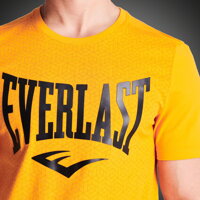 Pánské tričko Everlast s krátkým rukávem