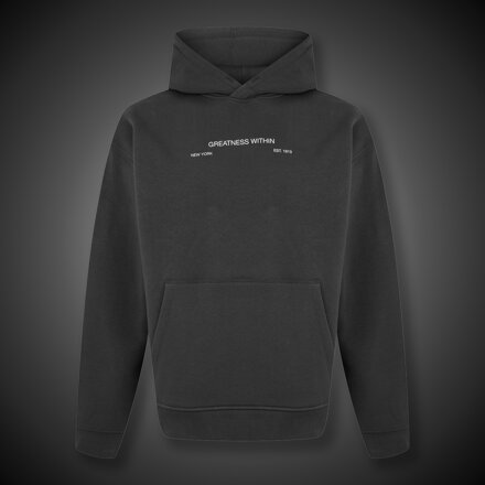 Mikina Everlast Boxing Club shark grey